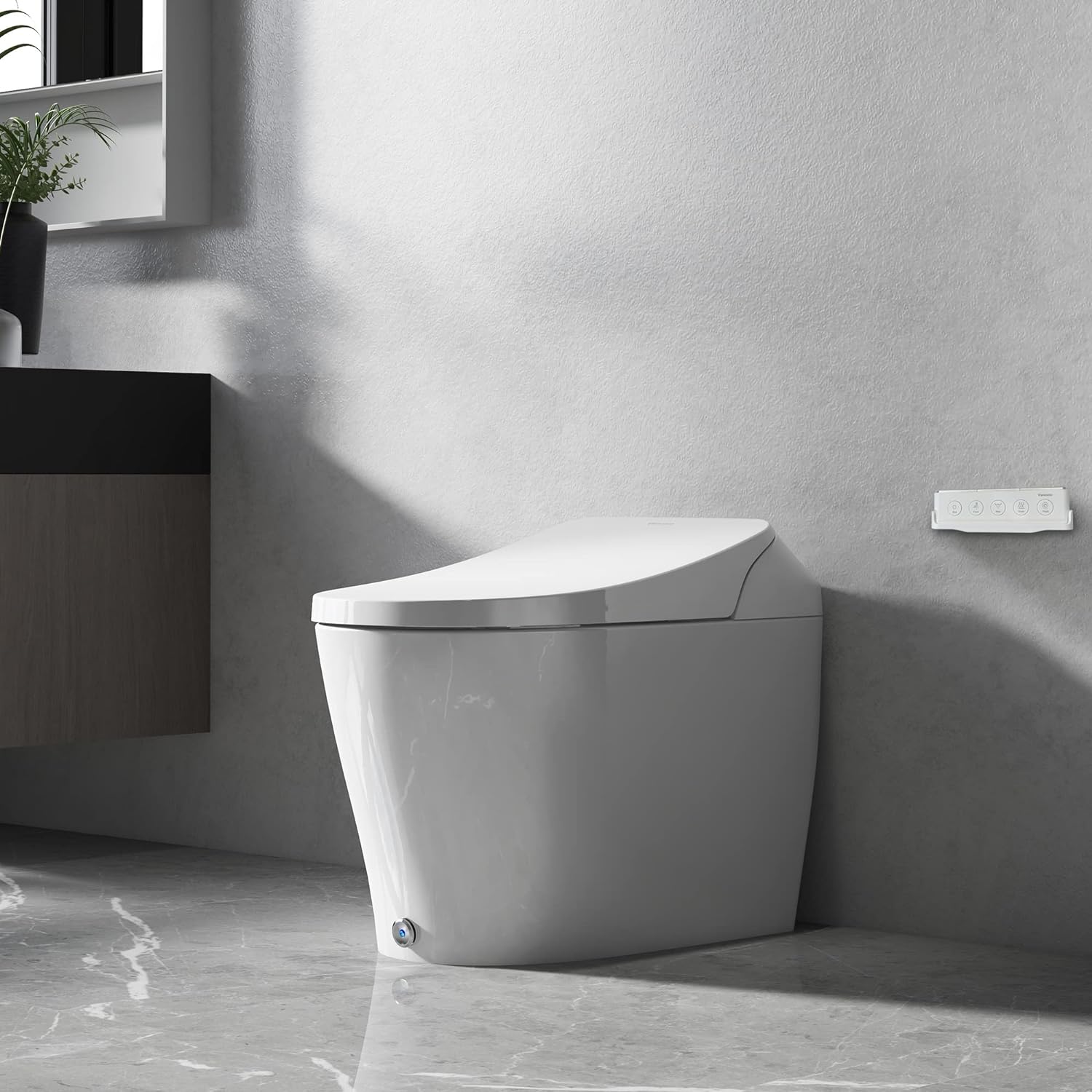 P1 Smart Toilet